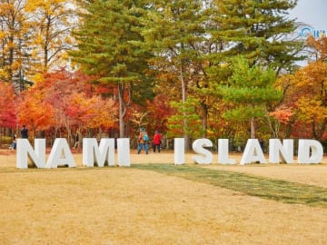 SEOUL – NAMI – EVERLAND 5N4Đ NO SHOPPING - Image - 3766