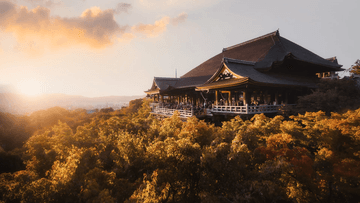 6D5N Vibrant Osaka - Image - 936