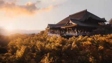 6D5N Vibrant Osaka - Image - 936