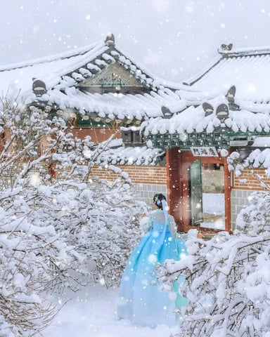 HÀN QUỐC MÙA ĐÔNG - SEOUL - ĐẢO NAMI - HÁI TRÁI CÂY 5 NGÀY 4 ĐÊM - Image - 3927