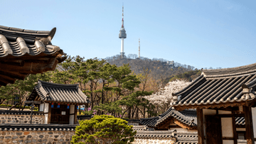 TOUR HÀN QUỐC HOT 2026: Seoul - Nami - Everland - Painter Show - Thư Viện Sách 5N4Đ - Image - 9374