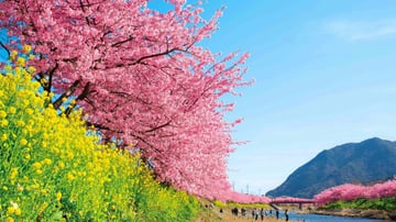 TOUR NHẬT BẢN - CUNG ĐƯỜNG VÀNG - MÙA HOA ANH ĐÀO 5 NGÀY 5 ĐÊM - VIETJET AIR - Image - 4485