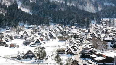 NHẬT BẢN MÙA ĐÔNG - CUNG ĐƯỜNG VÀNG - OSAKA - SHIRAKAWA GO - FUJI - TOKYO 5 NGÀY 5 ĐÊM - Image - 4183