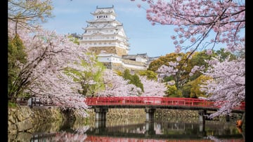 TOUR NHẬT BẢN - CUNG ĐƯỜNG VÀNG - MÙA HOA ANH ĐÀO 5 NGÀY 5 ĐÊM - VIETJET AIR - Image - 4487