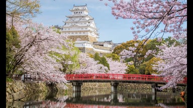 TOUR NHẬT BẢN - CUNG ĐƯỜNG VÀNG - MÙA HOA ANH ĐÀO 5 NGÀY 5 ĐÊM - VIETJET AIR - Image - 4487