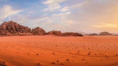 7 Day 6 Night Discover Jordan Tour - Image - 4301