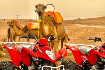 From Marrakech: Agafay Desert, Quad Tour, Camel Ride & Dinner Show - Image - 3348