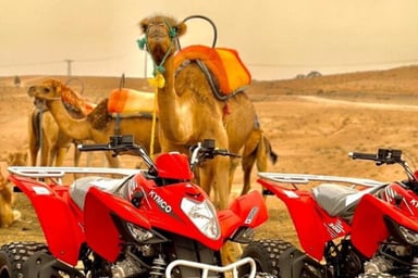 From Marrakech: Agafay Desert, Quad Tour, Camel Ride & Dinner Show - Image - 3348