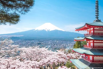 OSAKA – KYOTO – FUJI - Image - 3745