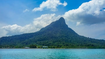 Morning Santubong Wildlife and Mangrove Cruise – Malaysia - Image - 11168
