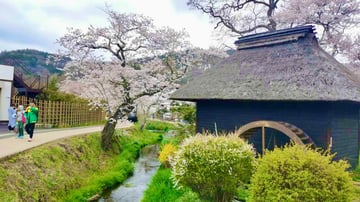 NARA – OSAKA – KYOTO – PHÚ SĨ – TOKYO - Image - 4789