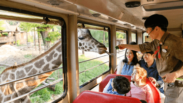 TOUR HÀN QUỐC HOT 2026: Seoul - Nami - Everland - Painter Show - Thư Viện Sách 5N4Đ - Image - 9376