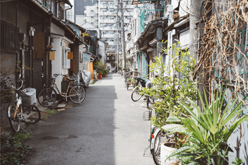 Osaka Hidden Gems Walking Tour: Local Life & Culture - Image - 2021