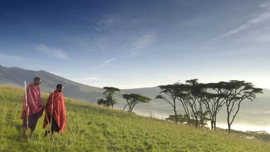 Luxury Serengeti, Ngorongoro & Tarangire Drive-In Safari - Image - 2590