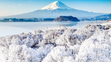 NHẬT BẢN MÙA ĐÔNG - CUNG ĐƯỜNG VÀNG - OSAKA - SHIRAKAWA GO - FUJI - TOKYO 5 NGÀY 5 ĐÊM - Image - 4181