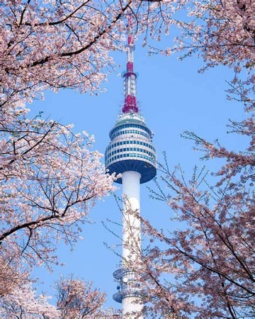 SEOUL – NAMI – EVERLAND 5N4Đ NO SHOPPING - Image - 3764