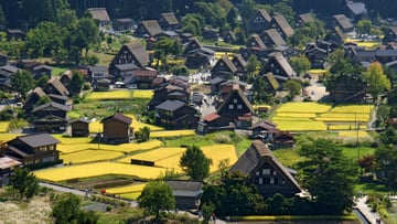 KHÁM PHÁ LÀNG CỔ MÙA HOA ANH ĐÀO TOKYO – YAMANASHI – TAKAYAMA - SHIRAKAWAGO – CHUBU 5N5Đ - Image - 10413