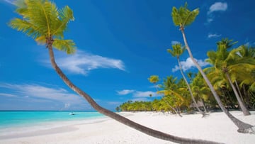 9 Days Tanzania Safari and Zanzibar Beach Escape - Image - 9548