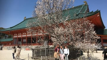 Private Hidden Gems In Kyoto Walking Tour-Japansese Local Guide - Image - 10512