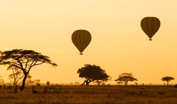 Luxury Serengeti, Ngorongoro & Tarangire Drive-In Safari - Image - 2595