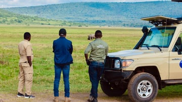 4 Days of Wildlife & Gorilla Trekking Safari Experience - Image - 8524