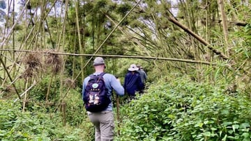 2 Days Rwanda Gorilla Trekking experience and Kigali Genocide Memorial Visit. - Image - 8549