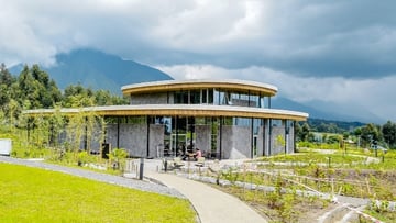 4 Days of Wildlife & Gorilla Trekking Safari Experience - Image - 8521