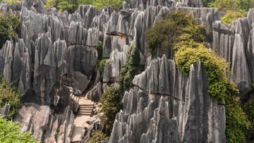 Wonderful Kuming - Shangrila - Image - 4513