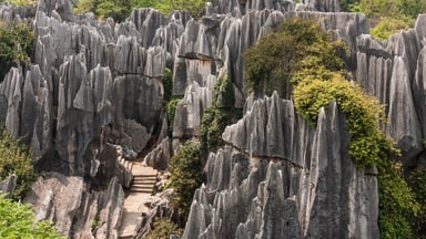 Wonderful Kuming - Shangrila - Image - 4513