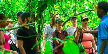 Midrange Tanzania Big Five Safari & Zanzibar Escape - Image - 2613