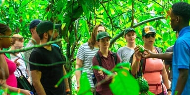 Midrange Tanzania Big Five Safari & Zanzibar Escape - Image - 2613