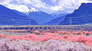 Tour du lịch TÂY TẠNG 7N6Đ - Trải nghiệm tàu đường sắt Thanh Tạng - Image - 10992