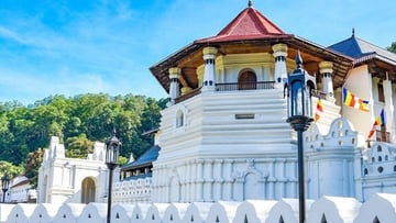 5-Day Sri Lanka: Elephant Orphanage – Temple of the Tooth – Tea Factory - Image - 10952
