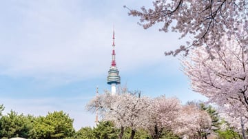 THAM QUAN XỨ SỞ KIM CHI DỊP LỄ 30/4 - 01/5 - Image - 10264