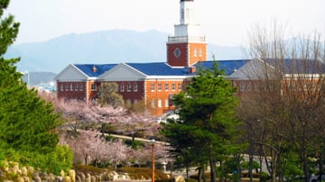 TOUR HÀN QUỐC – BUSAN – DAEGU - SEOUL - Image - 9207