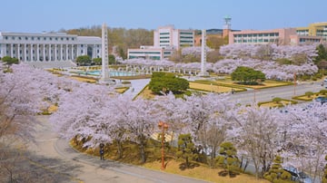 TOUR HÀN QUỐC – SEOUL - NAMI - LOTTE WORLD - YEOUIDO - HOA ANH ĐÀO - Image - 9103