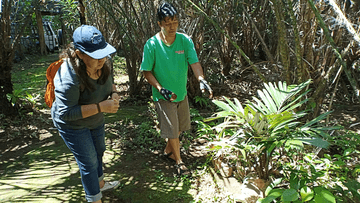 Salak Agro ECO TREKKING (Sibetan Village) - Image - 12687