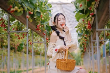 TOUR ĐÀ LẠT 3 NGÀY 3 ĐÊM - Image - 3910