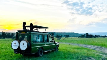 4 Days of Wildlife & Gorilla Trekking Safari Experience - Image - 8522