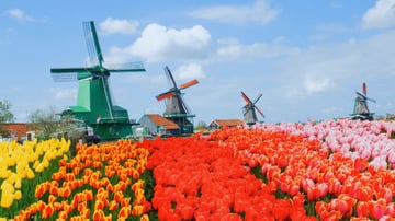 HÀNH TRÌNH CHÂU ÂU TOÀN CẢNH - MÙA HOA TULIP (9N8D): ĐỨC - HÀ LAN - BỈ - PHÁP - THỤY SĨ - Ý - Image - 9429