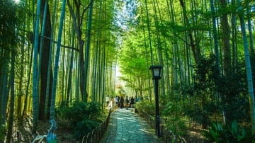 NHẬT BẢN 6N5Đ | TP HỒ CHÍ MINH - KANSAI - OSAKA - KYOTO - GIFU - SHIRAKAWAGO - TOYAMA - TOKYO - HANEDA - Image - 11077