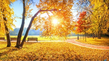 Tour Nga 2026: MOSCOW – ST. PETERSBURG - Image - 9178