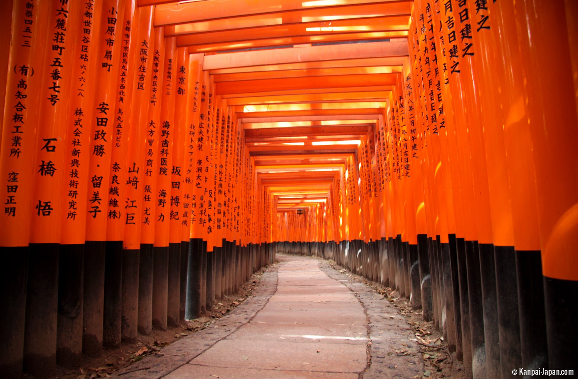 SUPER DEAL JAPAN SHIRAKAWAGO + OSHINO HAKKAI VILLAGE