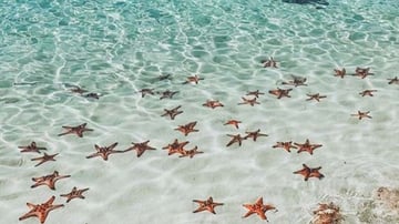 Tour Phú Quốc 3N2Đ: Từ HCM - Phú Quốc - Câu Cá - Lặn Ngắm San Hô, VMB khứ hồi + Khách sạn 3* - Image - 6162