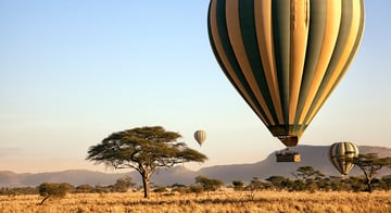 Luxury Serengeti, Ngorongoro & Tarangire Drive-In Safari - Image - 2581