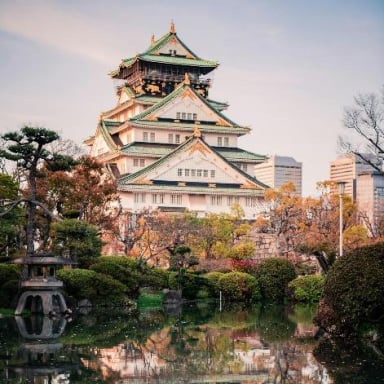 CUNG ĐƯỜNG VÀNG NHẬT BẢN 2025 SẮC THU LÃNG MẠN: NARA – OSAKA – KYOTO – NAGOYA – PHÚ SĨ – TOKYO (NO SHOP) - Image - 1662