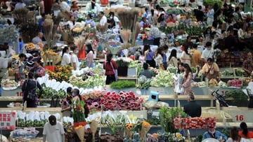 HÀ NỘI – CÔN MINH – KIỆU TỬ SƠN 5N4D - Image - 4640