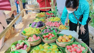 ĐỒNG THÁP - LÀNH HOA SA ĐÉC - VƯỜN QUÝT HỒNG - Image - 7466