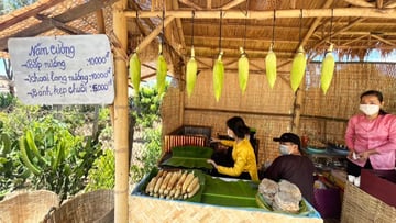 ĐỒNG THÁP - LÀNH HOA SA ĐÉC - VƯỜN QUÝT HỒNG - Image - 7468