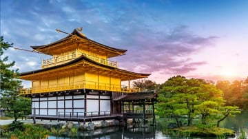 HÀ NỘI - NAGOYA - NARA–NAGOYA - KYOTO – NÚI PHÚ SĨ – LỄ HỘI HOA CHI ANH - TOKYO - Image - 8601